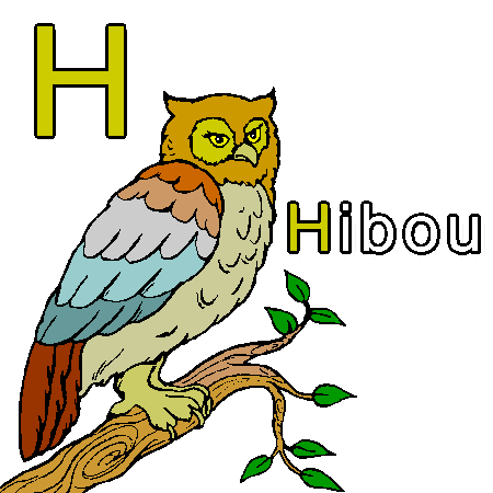 h-comme-hibou.png